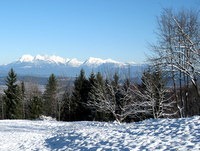 Pogled na Kamniško Savinjske Alpe