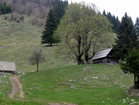 Planina pod Galetovcem