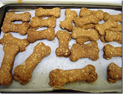 doggie-treats