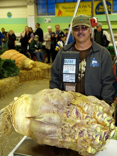 82.9-pound rutabaga grown by Scott Robb