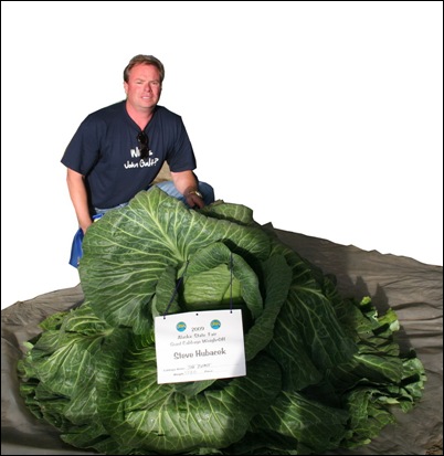 127-pound cabbage grown by Steve Hubacek_resize