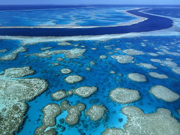 Great Barrier Reef_resize