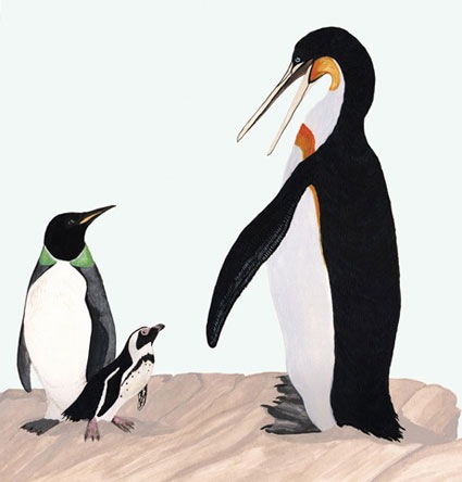 [giant-penguin-picture[3].jpg]