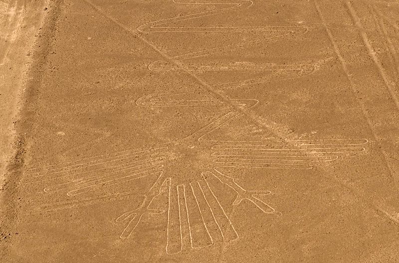 [Nazca_heron[3].jpg]