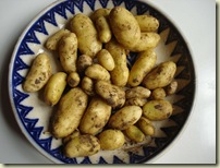 new potatoes_1_1