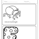 Ficha 12-e.cwk (DJ).jpg