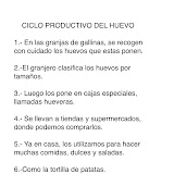 Huevo texto