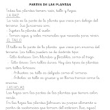 LAS PLANTAS-1