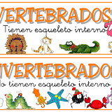vertebrados e invertebrados