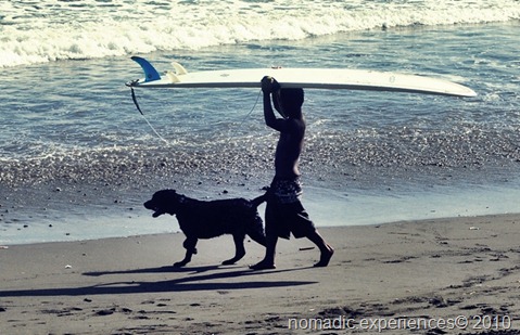 DSC_0607 DSC_0607