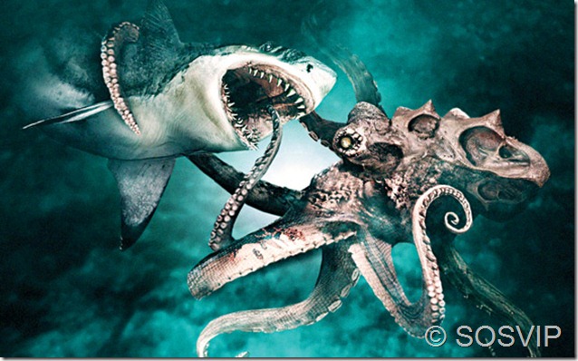 Octopus-vs.-Shark