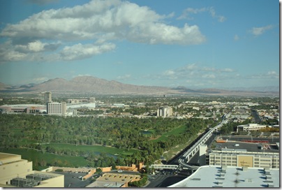 Las Vegas 2010 002