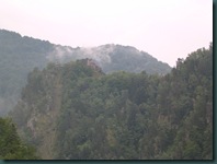 DSCN3990