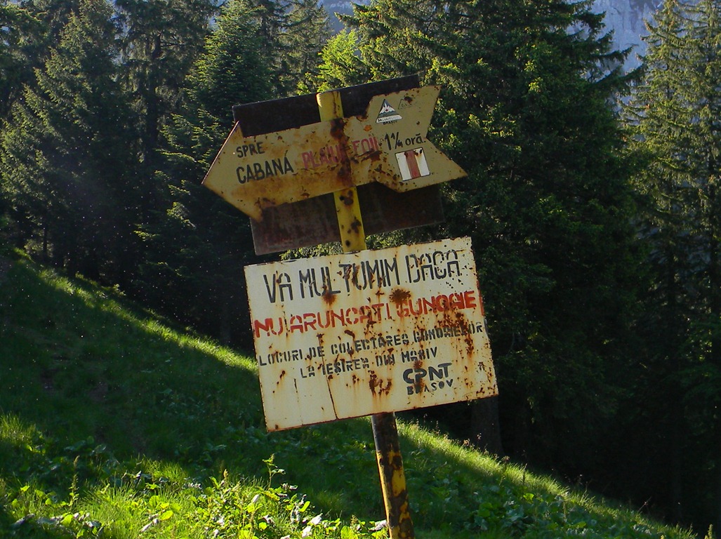 [DSCN47035.jpg]