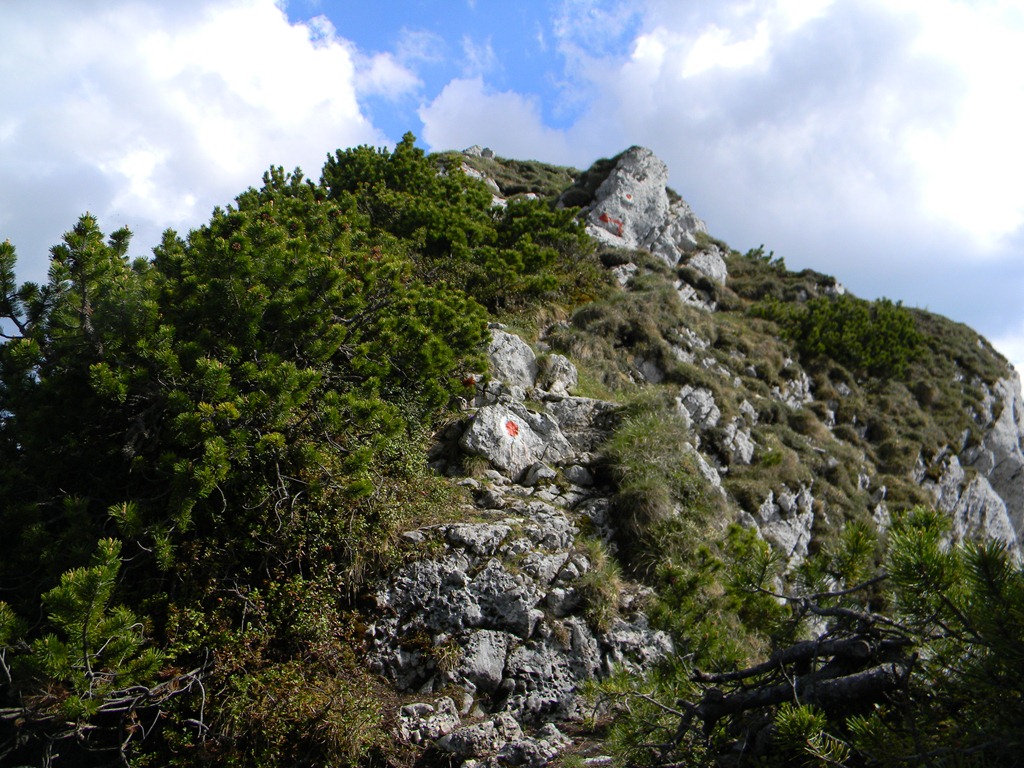 [DSCN50614.jpg]