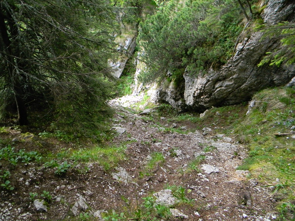 [DSCN50994.jpg]