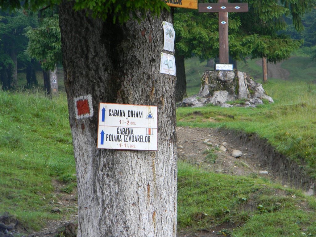 [DSCN52634.jpg]