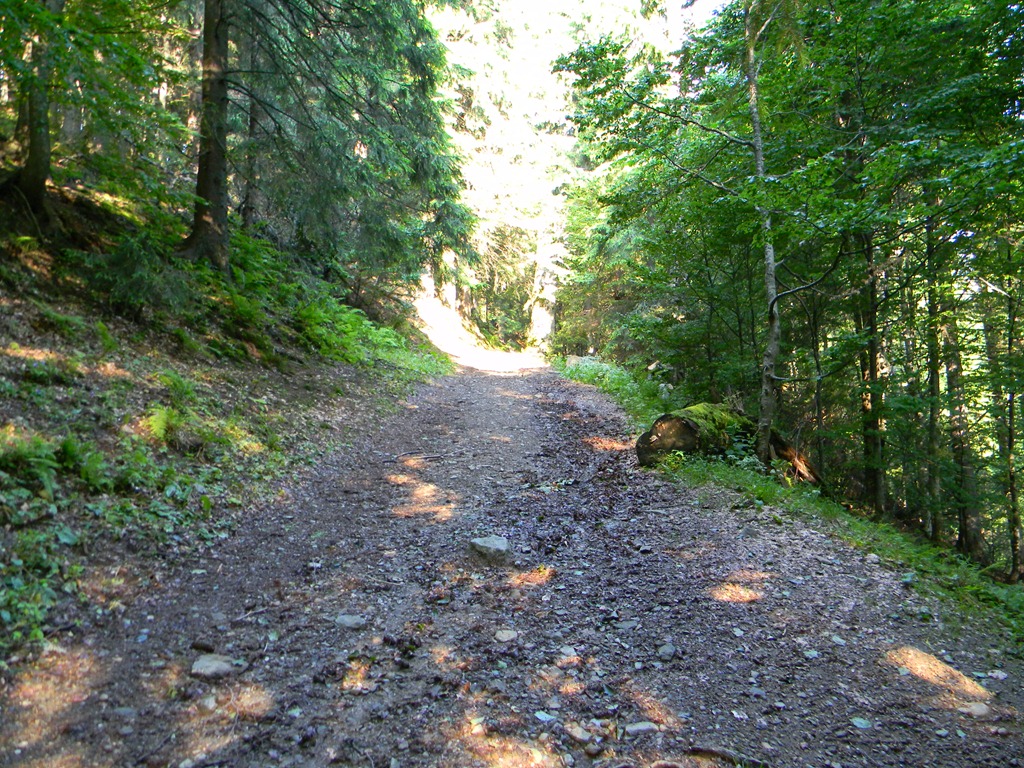 [DSCN52744.jpg]