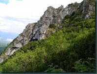 DSCN5836