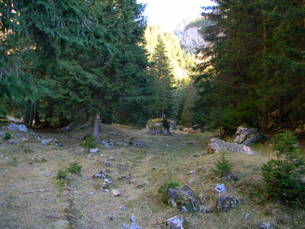 [DSCN07752.jpg]