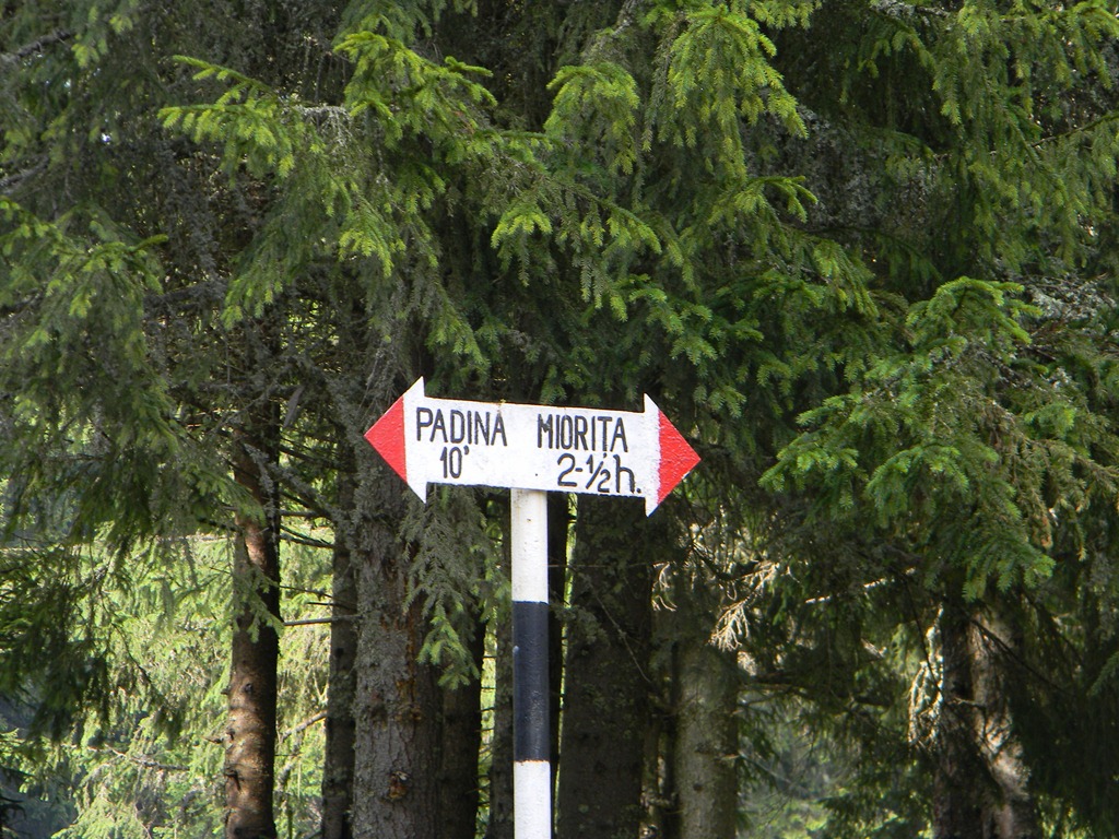 [DSCN88173.jpg]