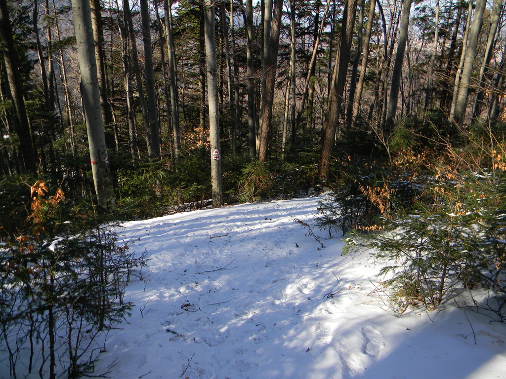 [DSCN31993.jpg]