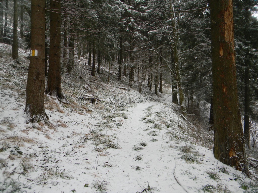 [DSCN24983.jpg]