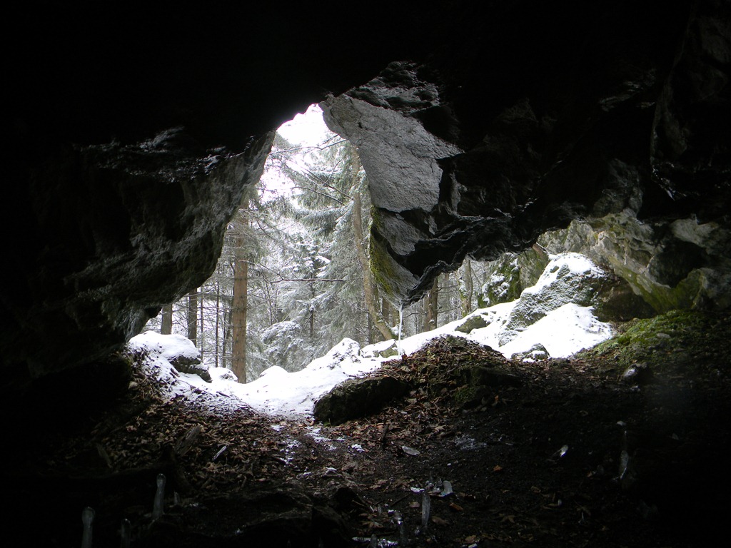 [DSCN25343.jpg]