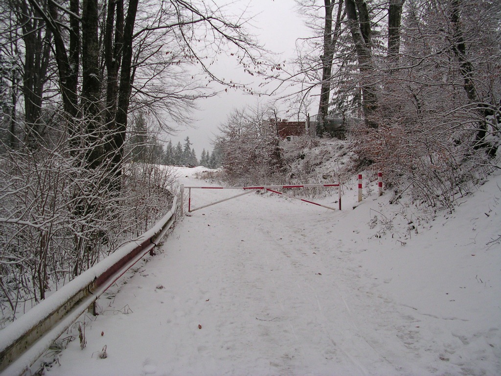 [DSCN15203.jpg]