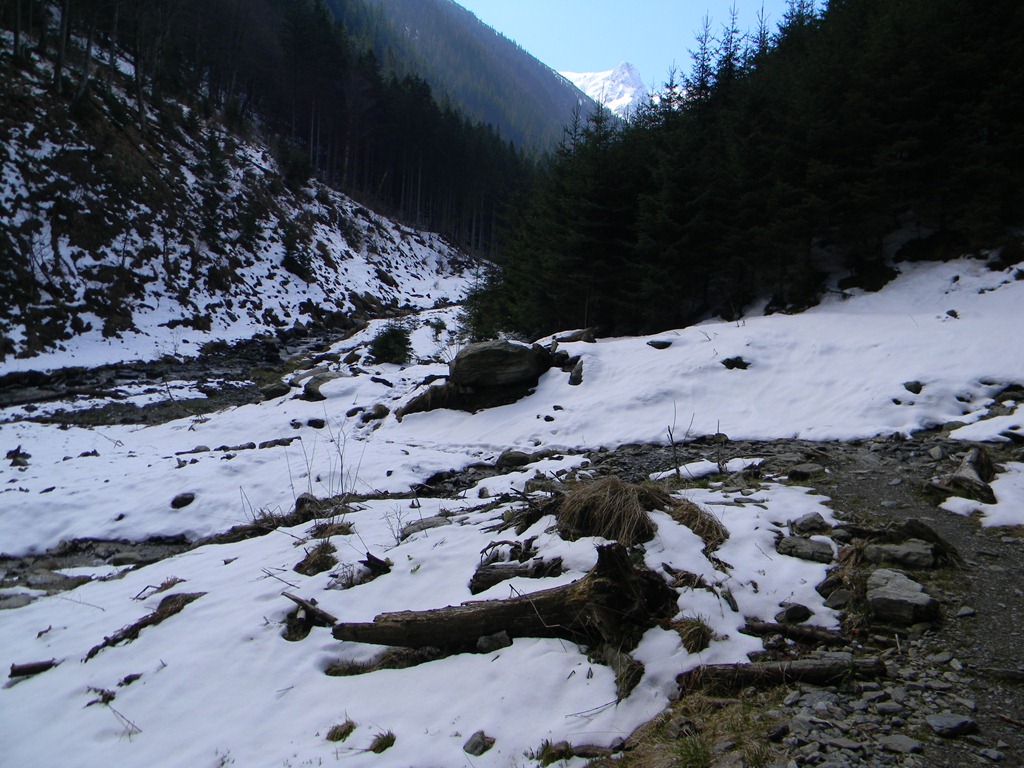 [DSCN42163.jpg]
