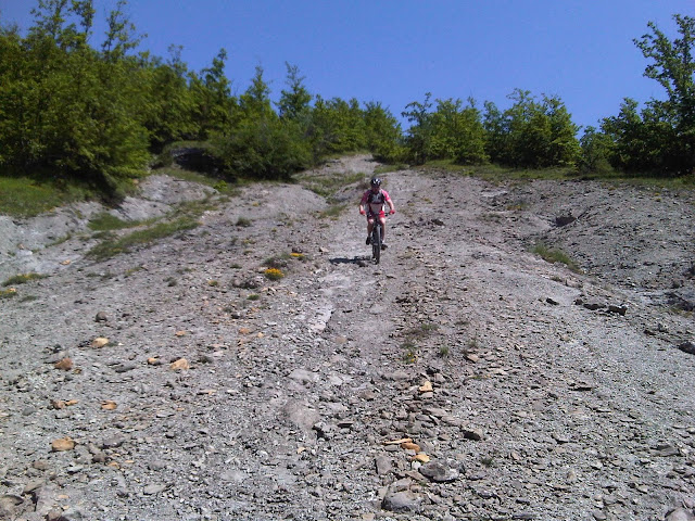 IMG00118-20100605-1130.jpg