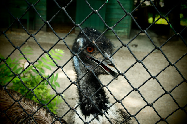 Поход в николаевский зоопарк.