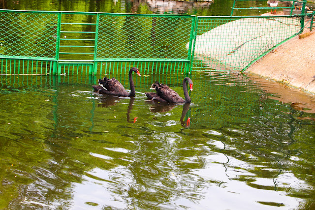 Поход в николаевский зоопарк.