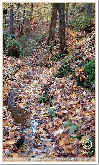 Autumn-Wartburg (05) by MeetaK