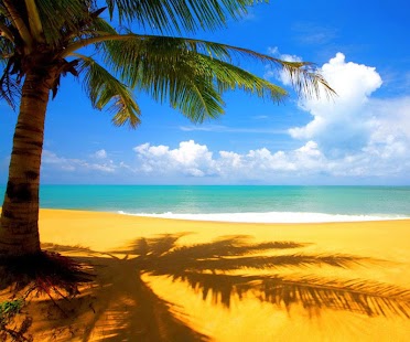Download Seascape Tangram Games APK for Android