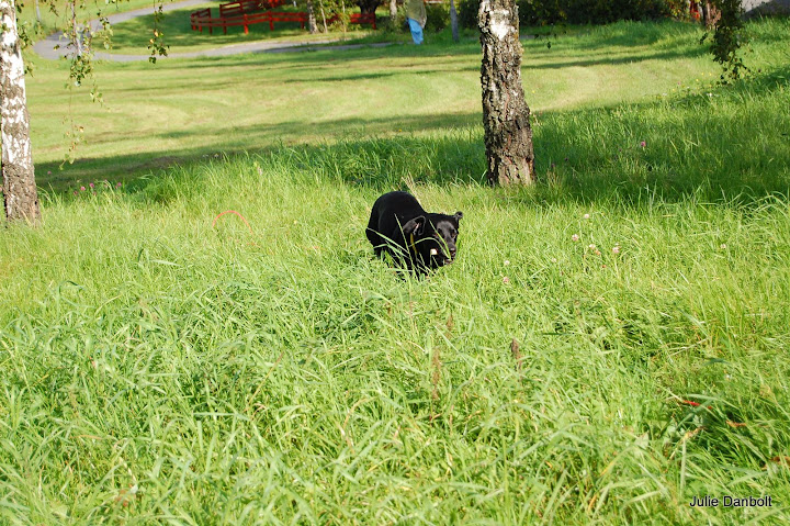 DSC_4941.JPG