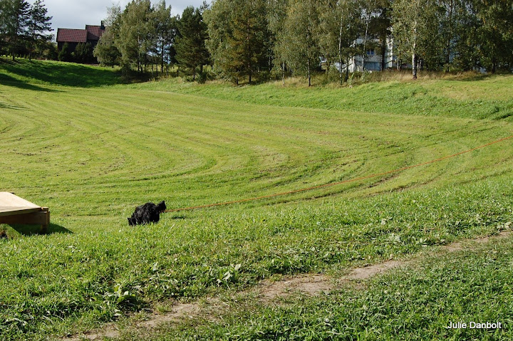 DSC_4995.JPG