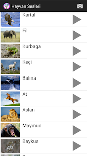 免費下載娛樂APP|Hayvan Sesleri app開箱文|APP開箱王
