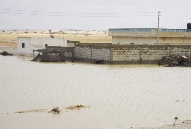 [Floods in Central Sinai[4].jpg]