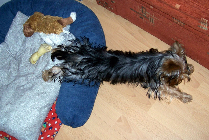 100_6793-1.JPG