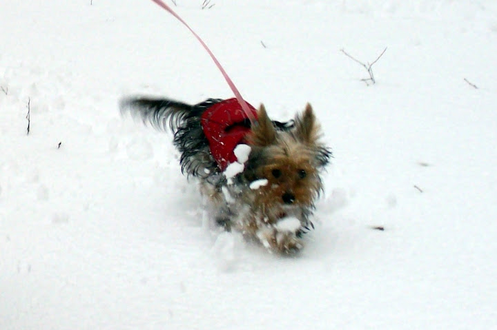 100_6865-1.JPG