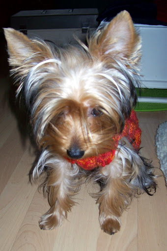 100_6995-1.JPG