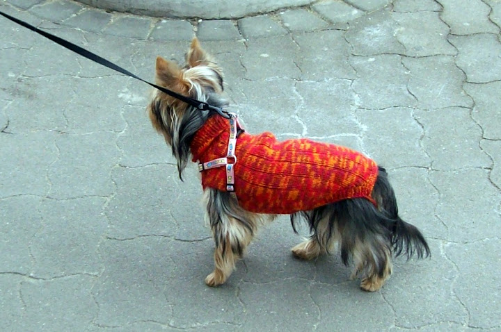 100_7002-1.JPG