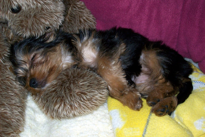 Lulu%20040-1.jpg