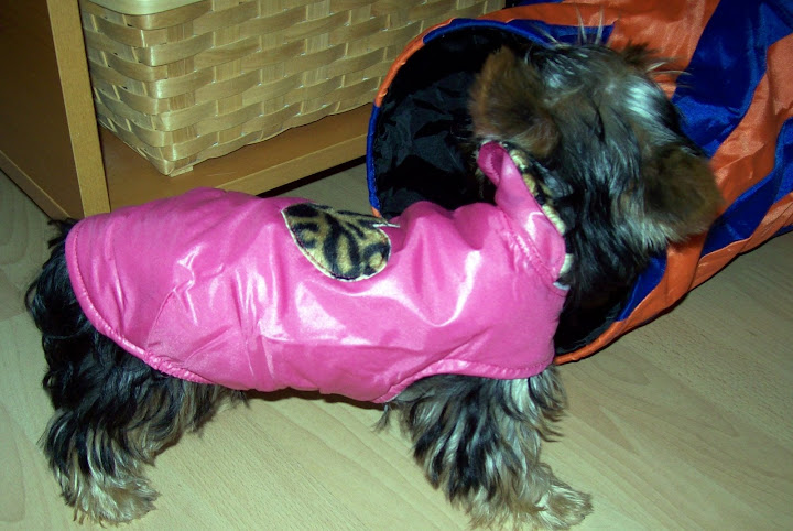 Lulu%2009.nov.%20012-1.jpg