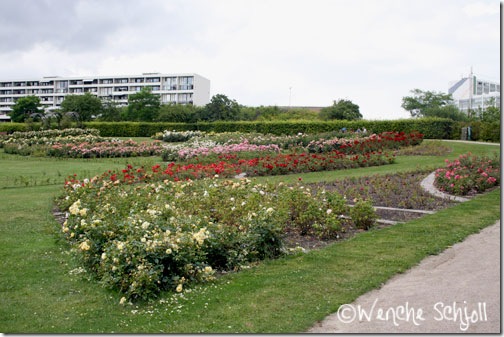 IMG_4837 IMG_4837
