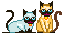 dsc1.png
