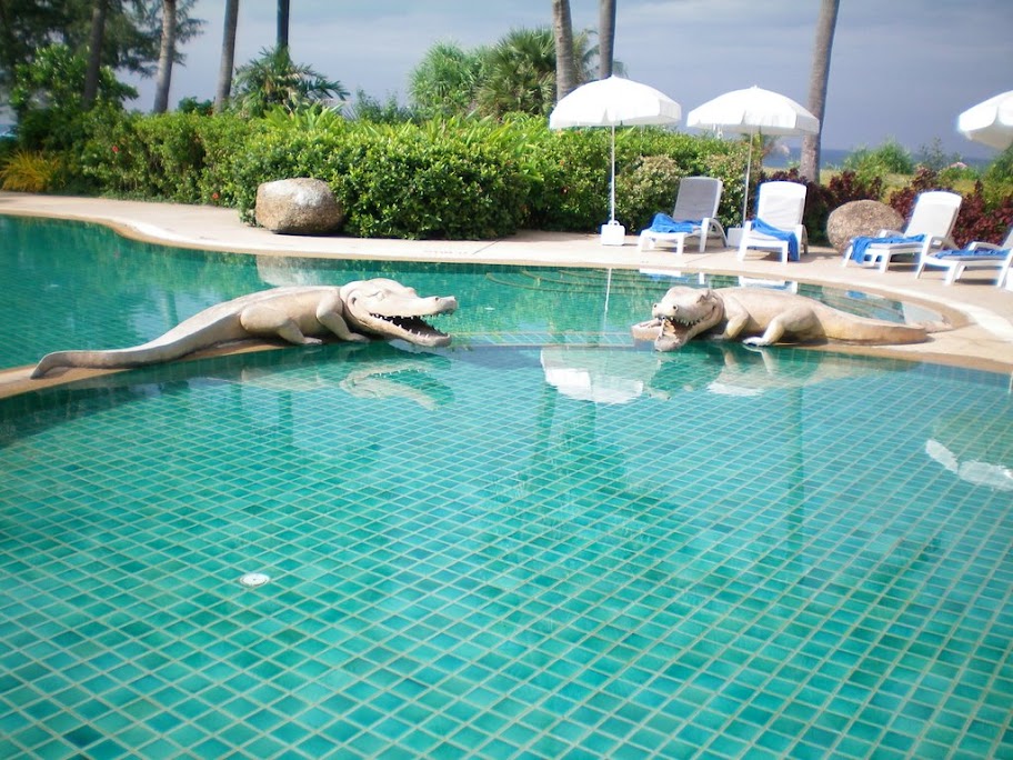 Piscine à croco