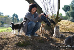Photo by Rochelle Noblett Korean filmmaker at CHotK