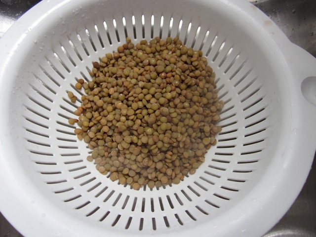 lentils in drainer 